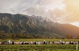 Toast an anomaly in British Columbia: Small-batch potato vodka