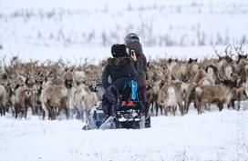 野生動物ウォッチング Destination Canada メディアセンター