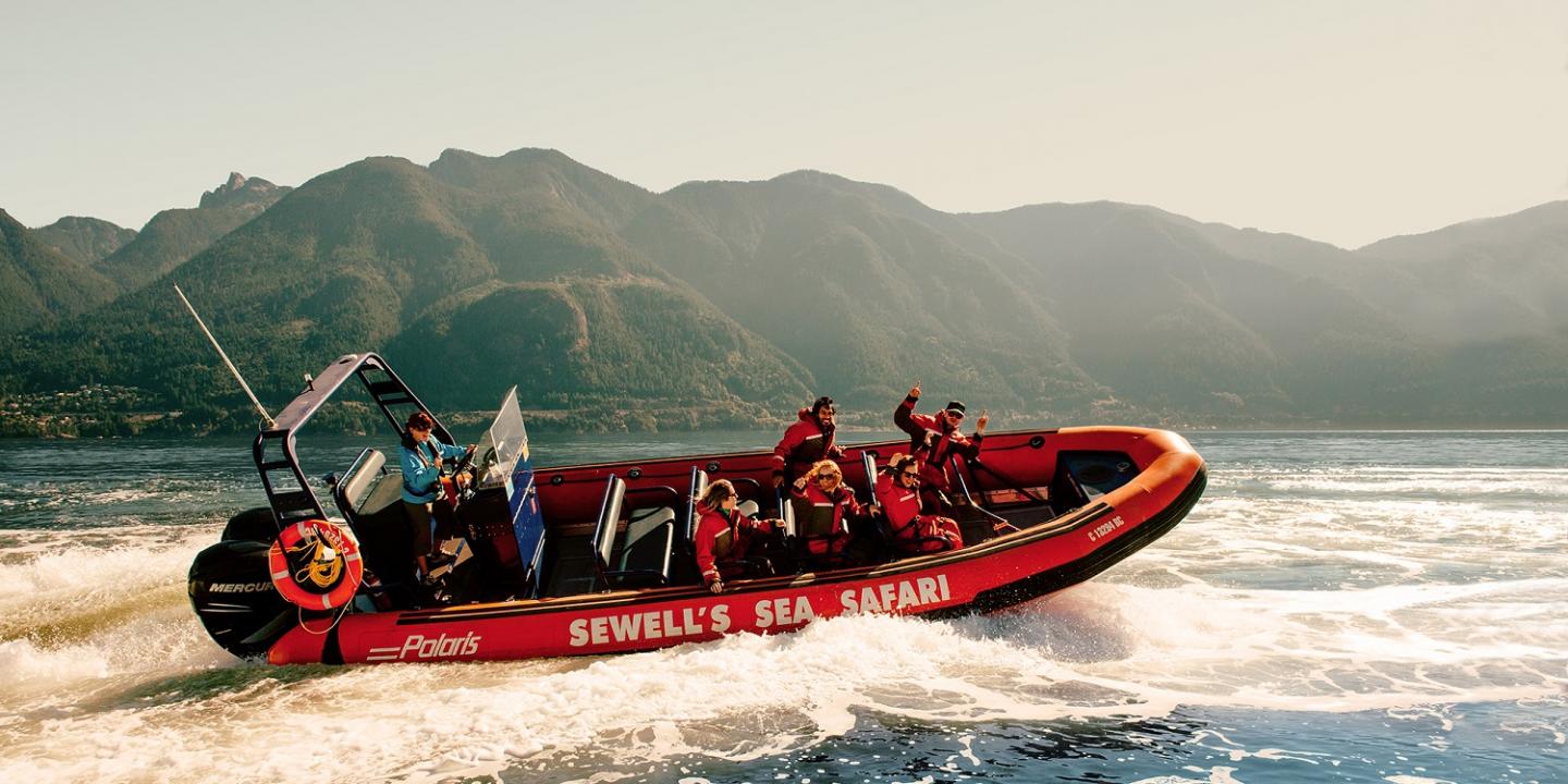 Whale Watching, British Columbia