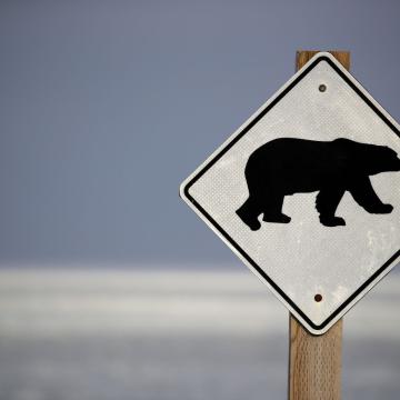 Ein Warnschild "Achtung Eisbär" in der Tundra bei Churchill