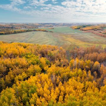 Herbstfarben in Alberta