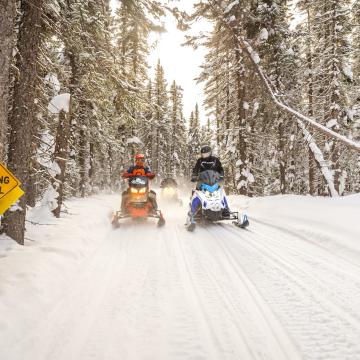 Schneemobile sind auf einem verschneiten Trail im Wald im Whitecat Hill Provincial Park unterwegs.