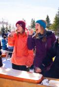 Maple candy on snow