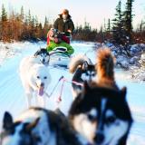 Churchill dogsledding - Credit Canadian Tourism Commission