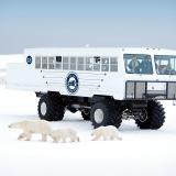 Eisbärenbeobachtung im Tundra Buggy von Frontiers North Adventures