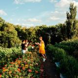 Eine Gruppe Menschen verbringt bei gutem Wetter eihren Tag in einem Garten, sie stehen an einem Blumenbeet