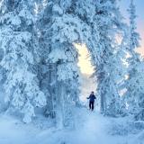 Eine Frau läuft durch einen verschneiten Winterwald in den Northwest Territories.