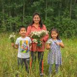 Eine indigene Familie bei der Ernte im Wald