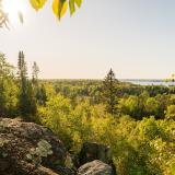 Ausblick auf einen Wald und einen See