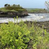 Reversing Fall Rapids in Saint John