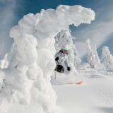 Skifahrer im Pulverschnee
