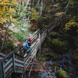 Wanderweg im Fundy National Park